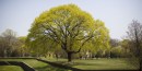 nature in NY