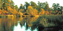 Great Egg Harbor River