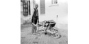 A Slave with a Wheelbarrow of Firewood