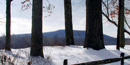 Hardwood trees and distant hillside coverd with trees.