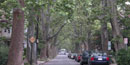 Photo of Beals Street