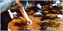 A ranger takes a water sample from a creek
