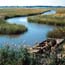 Supawna Meadows Wildlife Refuge