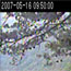 Webcam Snapshot
