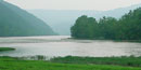 View of New River Riparian Zone
