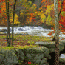 WV Fall Foilage