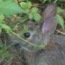 Nature/Science Photo Gallery