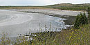 View of beach at low tide
