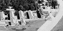 The CCC Camp at Skyland (NP-1) was the first Civilian Conservation Camp in the National Park Service.