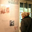 A visitor examines the interpretive exhibit at Rapidan Camp. A visitor examines the interpretive exhibit at Rapidan Camp.