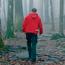 Lear more about Hiking in Shenandoah National Park