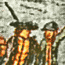 Massachusetts militia