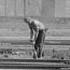 Living History Program: Coal, Ash and Sand