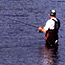 Anglers fish for shad in the big eddy at Narrowsburg NY