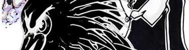Drawing of Raven's beak