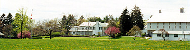 Eisenhower backyard