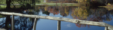 Bridge at Val-Kill