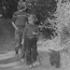 Pets in the Park