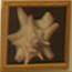 Art Shows and Photo Contests