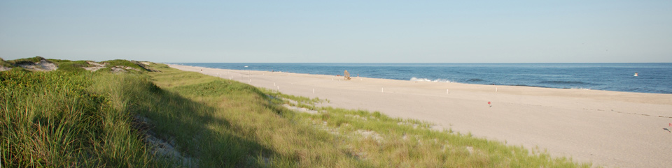 Miles of uncrowded white sandy beaches extend to the horizon, separating the clear blue ocean and undulating grass-covered dunes.