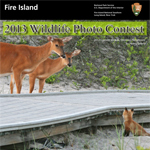 2013 Wildlife Photography Contest Poster