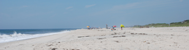 Profile of ocean beach with lifeguard stand and umbrellas.