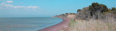 Reddish garnet sand on calm bay shoreline.