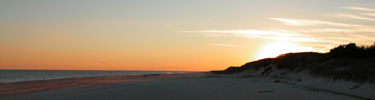 Golden sun sets over silhouette of duneline.