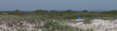 Small blue tent is nestled among low dunes.