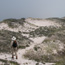 Fire Island Wilderness