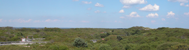 View of open wilderness on Fire Island.