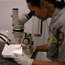 Mosquito Monitoring