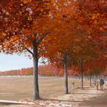 Memorial Groves
