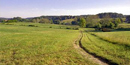 A trail cuts through a grassy open field and recedes into the horizon A trail cuts through a grassy open field and recedes into the horizon
