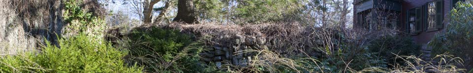 A photo of part of the Hollow and a corner of the house at Fairsted, taken in early Spring 2012