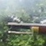 Armament