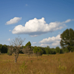 Rolling fields in front of the Bloody Angle at Spotsylvania Court House Rolling fields in front of the Bloody Angle at Spotsylvania Court House