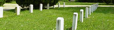 Spotsylvania Cemetery