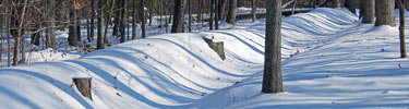 Trenches on the Fredericksburg Battlefield in snow