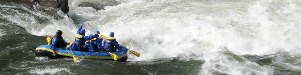 rafters paddling through whitewater