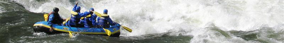 rafters paddling through whitewater
