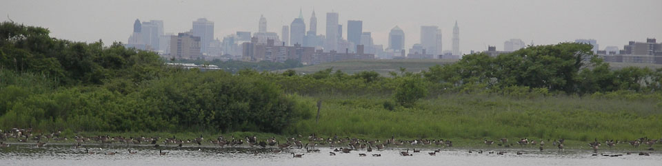 Gateway offers surprising natural diversity, outdoor recreation and historic discoveries within the largest metropolitan area in the U.S.