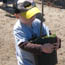 Million Trees Initiative on Floyd Bennett Field