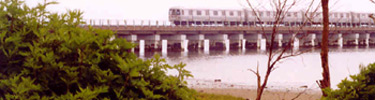 Subway crossing Jamaica Bay in the beautiful Jamaica Bay Wildlife Refuge.