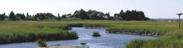 sandy_hook_salt_marsh_100