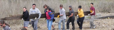 salt_marsh_log_100