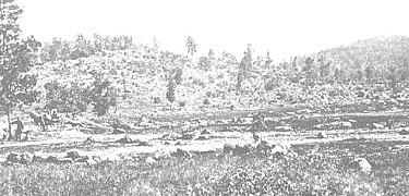 Gettysburg National Military Park (U.S. National Park Service)