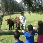 Education Programs
