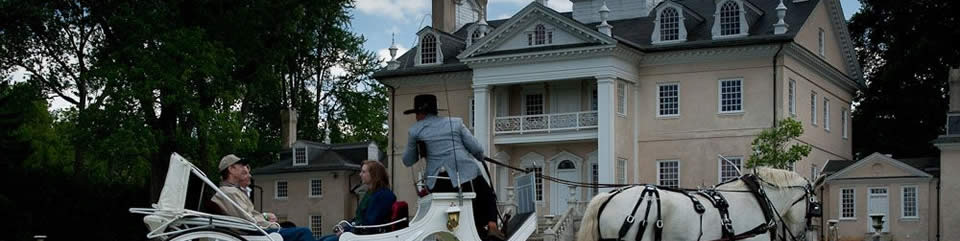 Horse and Carriage in front of Hampton NHS