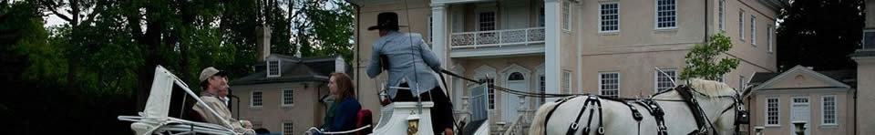 Horse and Carriage in front of Hampton NHS